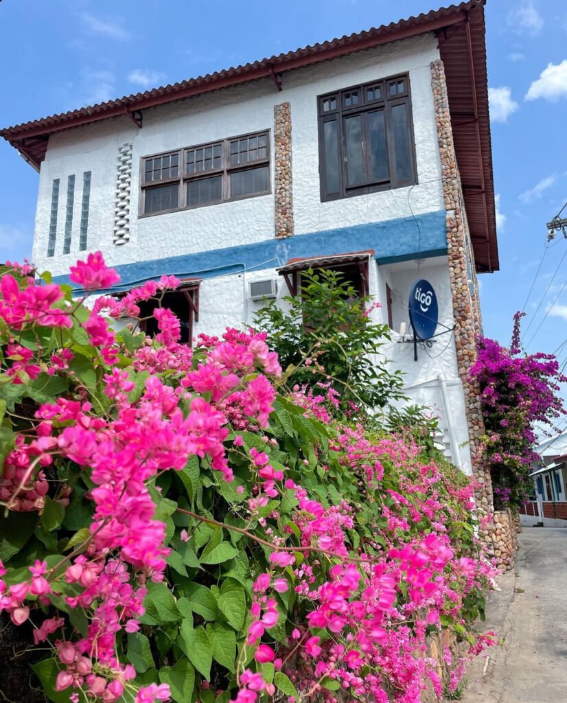 7. Flowers in the streets of Isla Taboga, Panama, Taboga Island