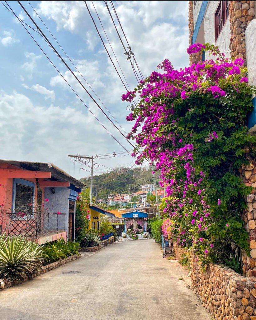 7. Flowers in the streets of Isla Taboga, Panama, Taboga Island