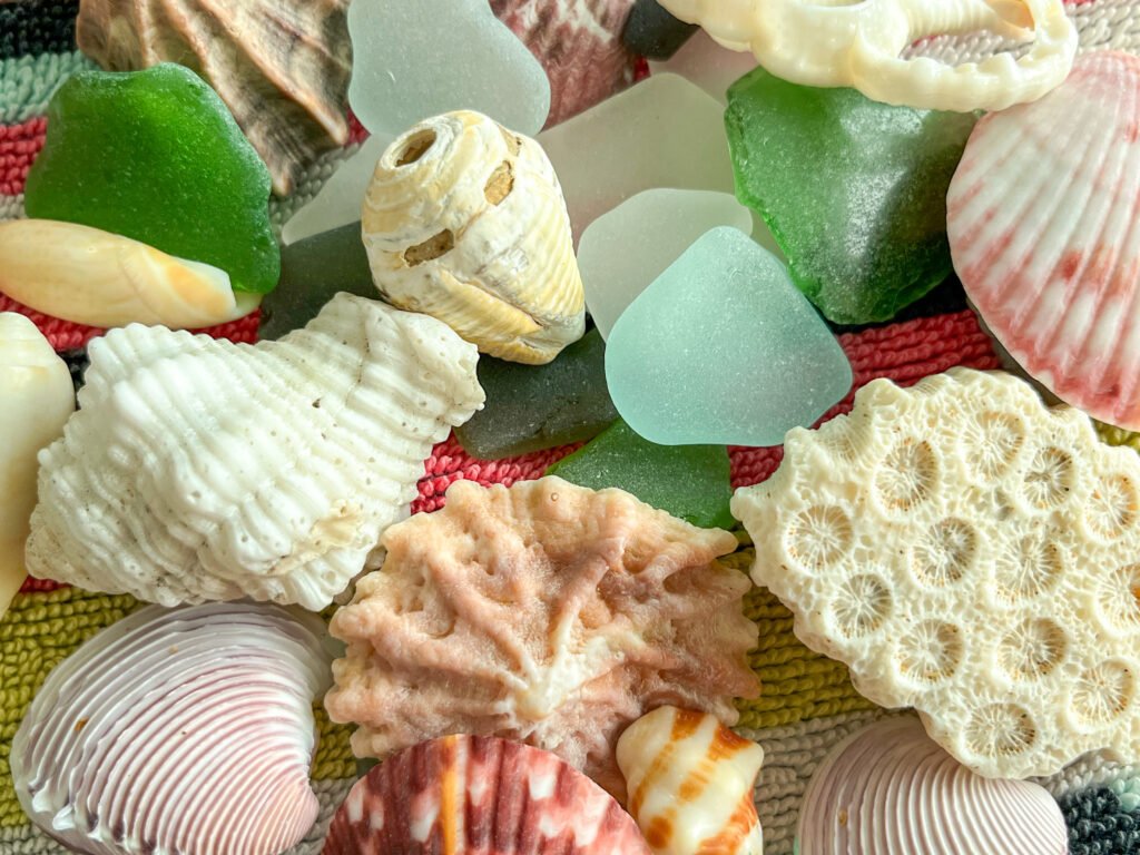 Colorful shells and sea glass from Isla Taboga