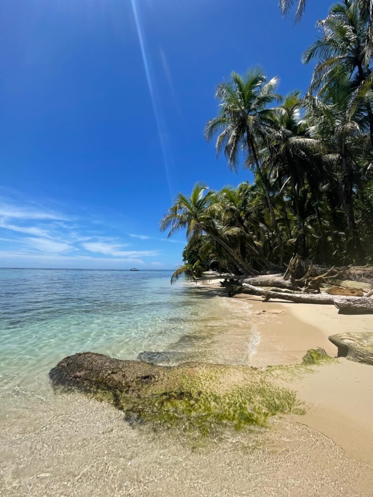 Dreamy Cayo Zapatilla, Bocas del Toro province