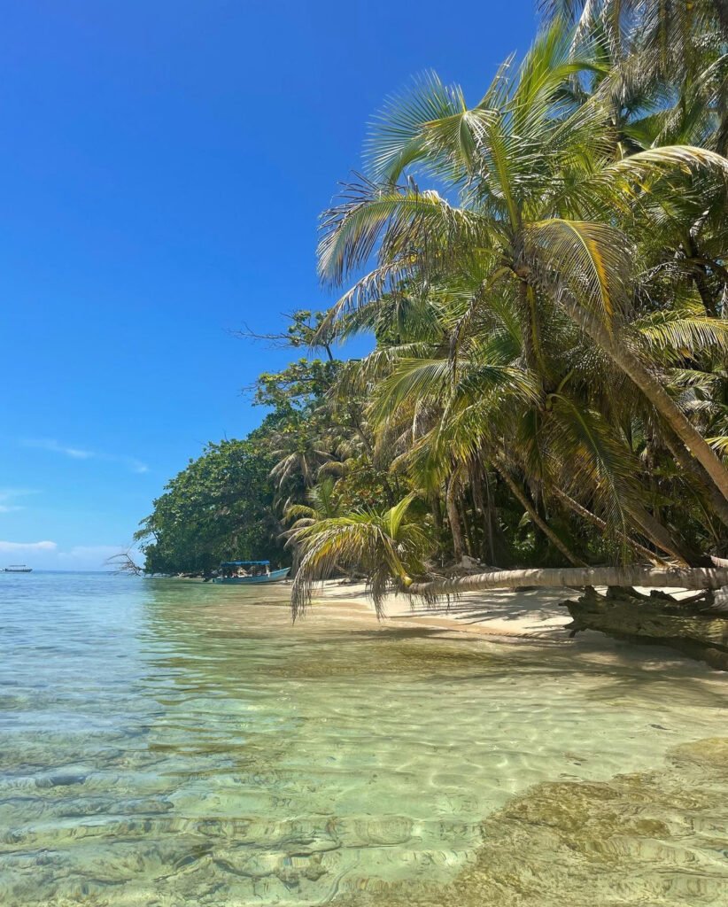 Beautiful Cayo Zapatilla in Bocas del Toro 