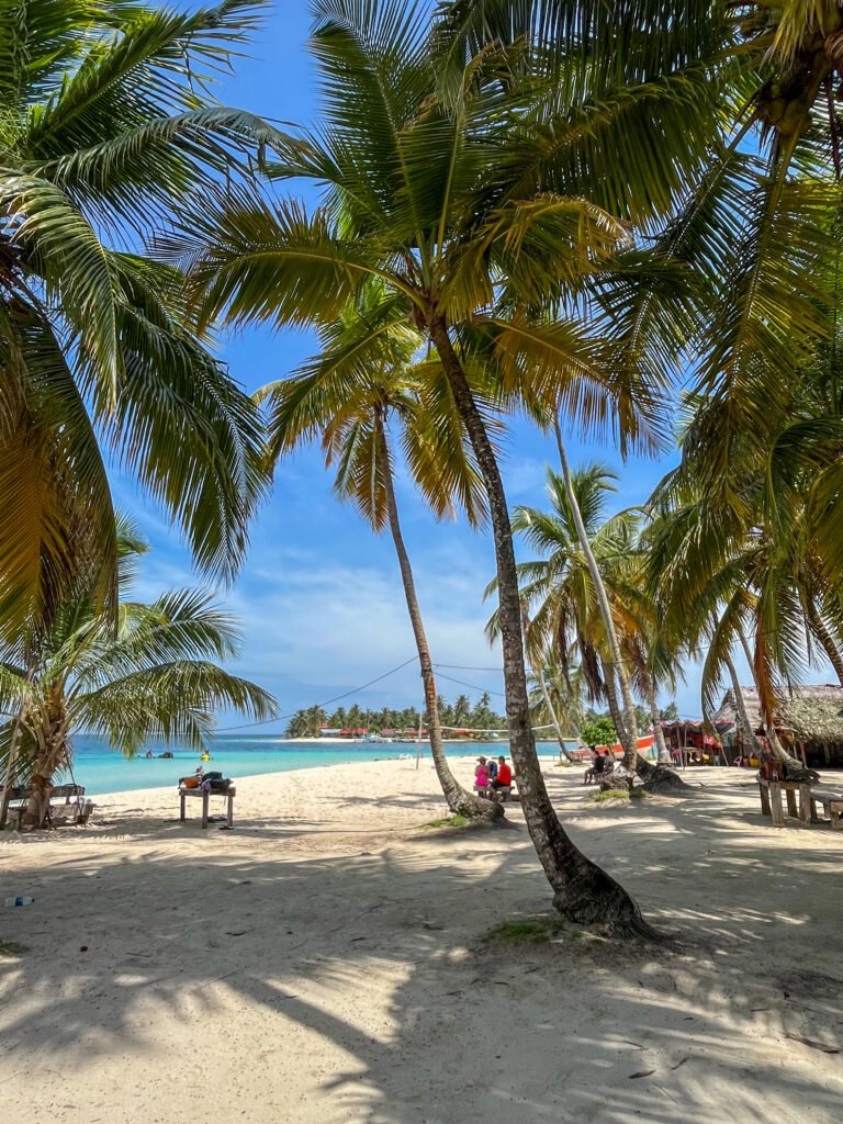 palms of Perro Chico island