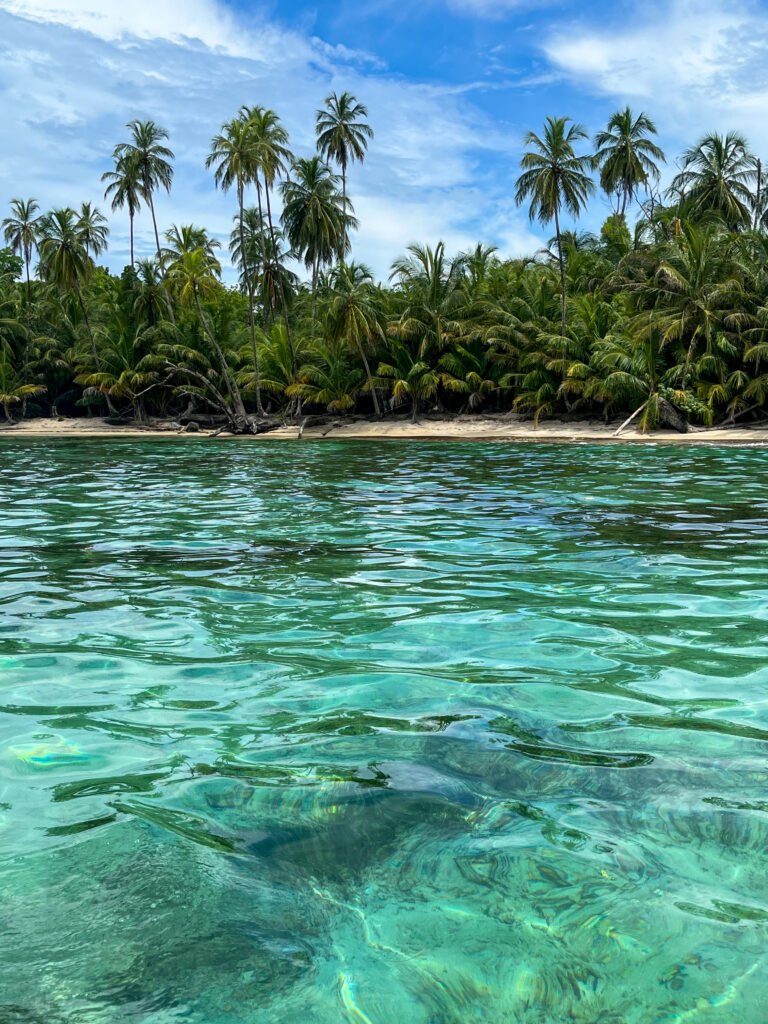 A stunning tropical beach