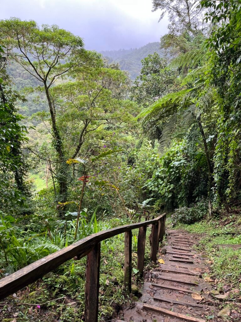 Lost Waterfalls Trail, Boquete