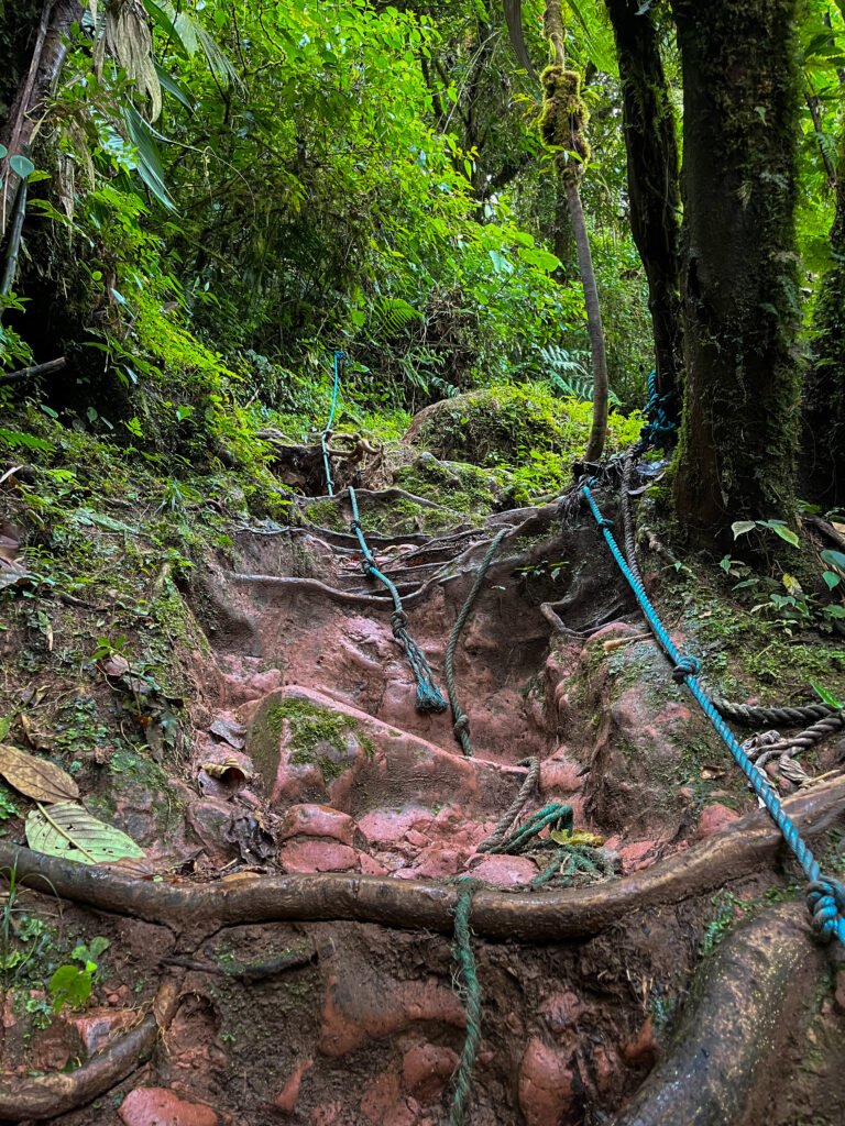 Lost Waterfalls trail, Boquete, Panama