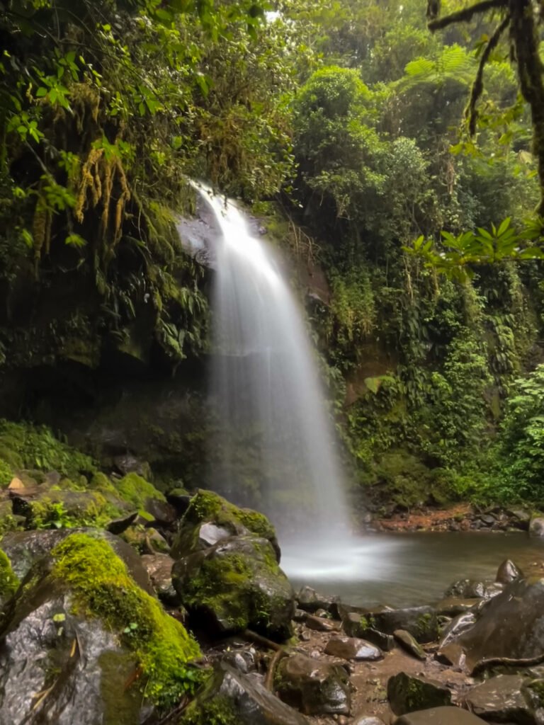 Waterfall #3 on the Lost Waterfalls hike, Sendero de Las Tres Cascadas.