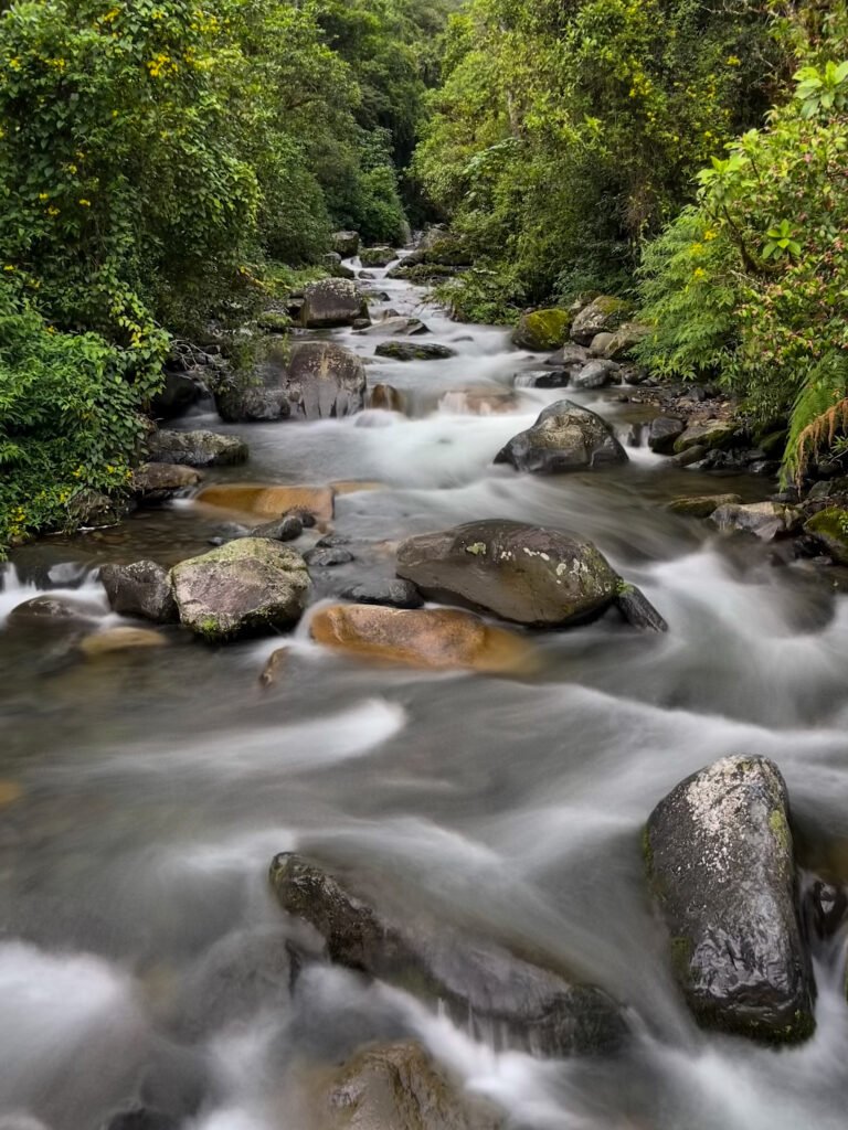 River flowing in Boquete