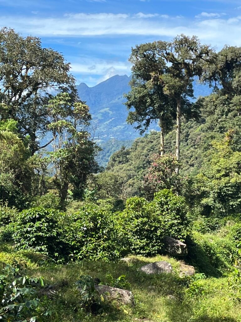 Volcan Baru, Panama