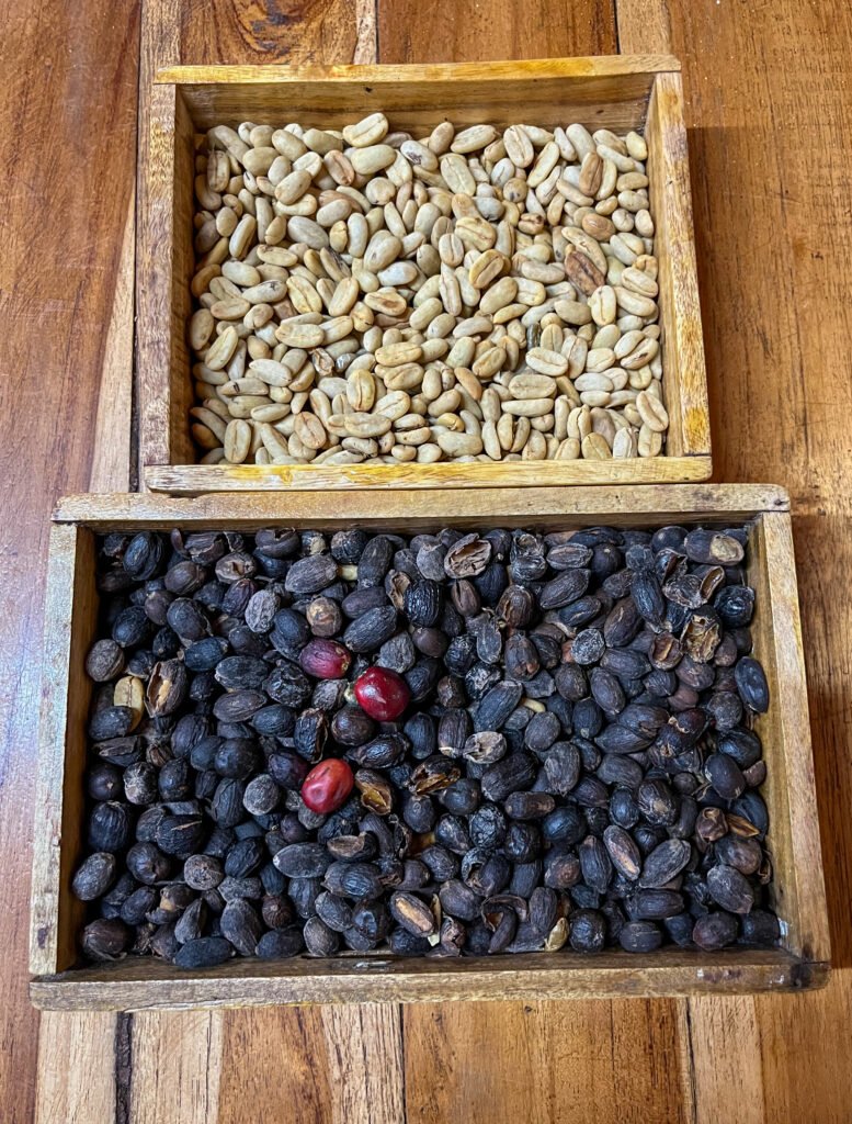 Coffee beans