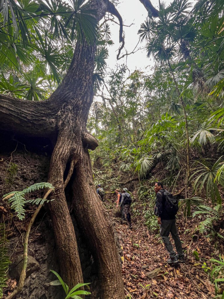 Camino de Cruces Trail, Panama