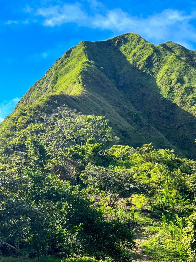 Los Picachos de Ola, Cocle, Panama