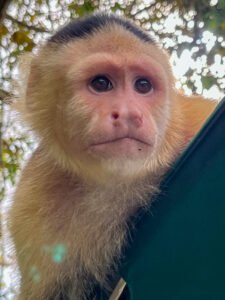 20 AMAZING THINGS TO DO IN PANAMA CITY - Take Two PTY