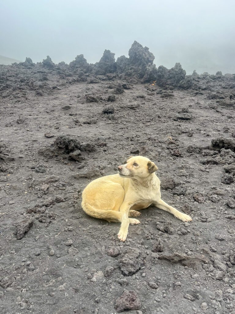 Pacaya Volcano, Guatemala