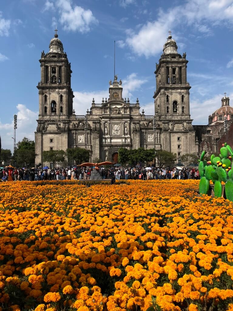 El Zocalo is full of Cempasuchil or marigolds.