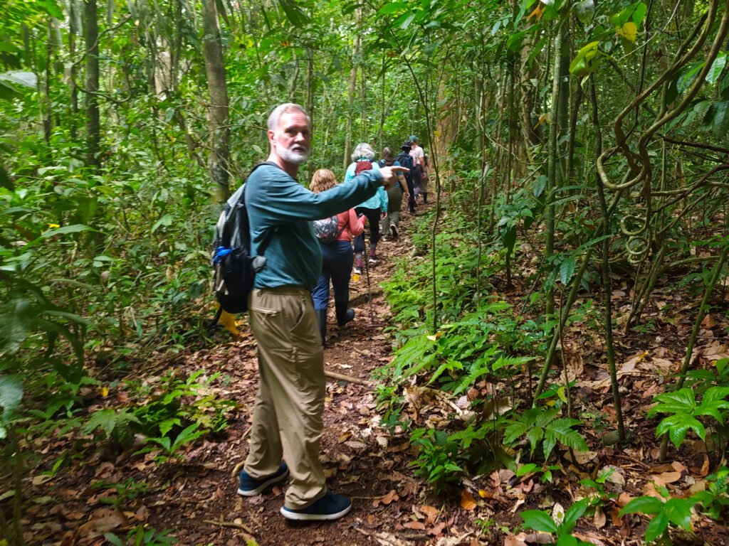 Pointing out interesting plants on the STRI trail.